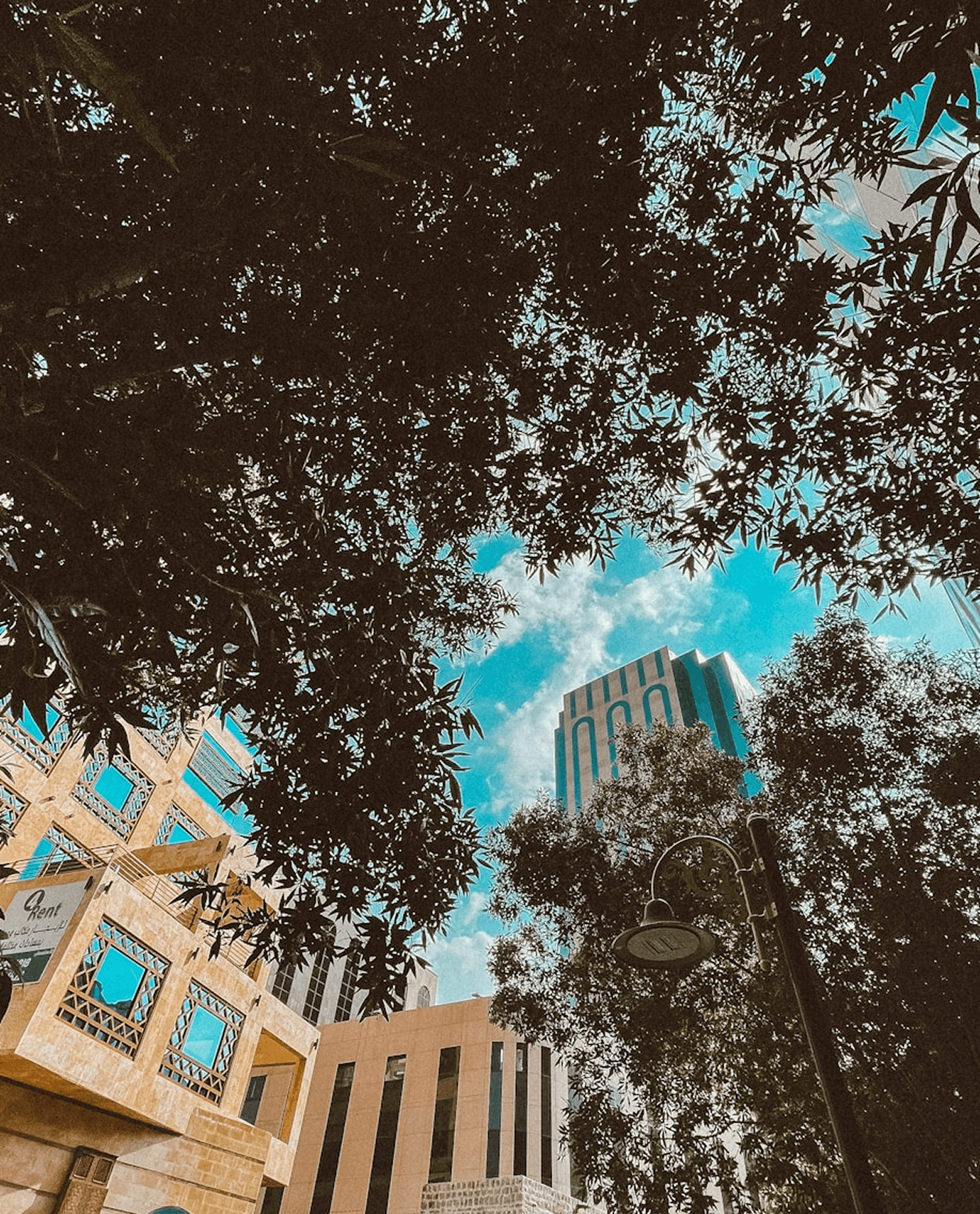 Street-level view of buildings and trees against a bright sky in an urban Saudi setting